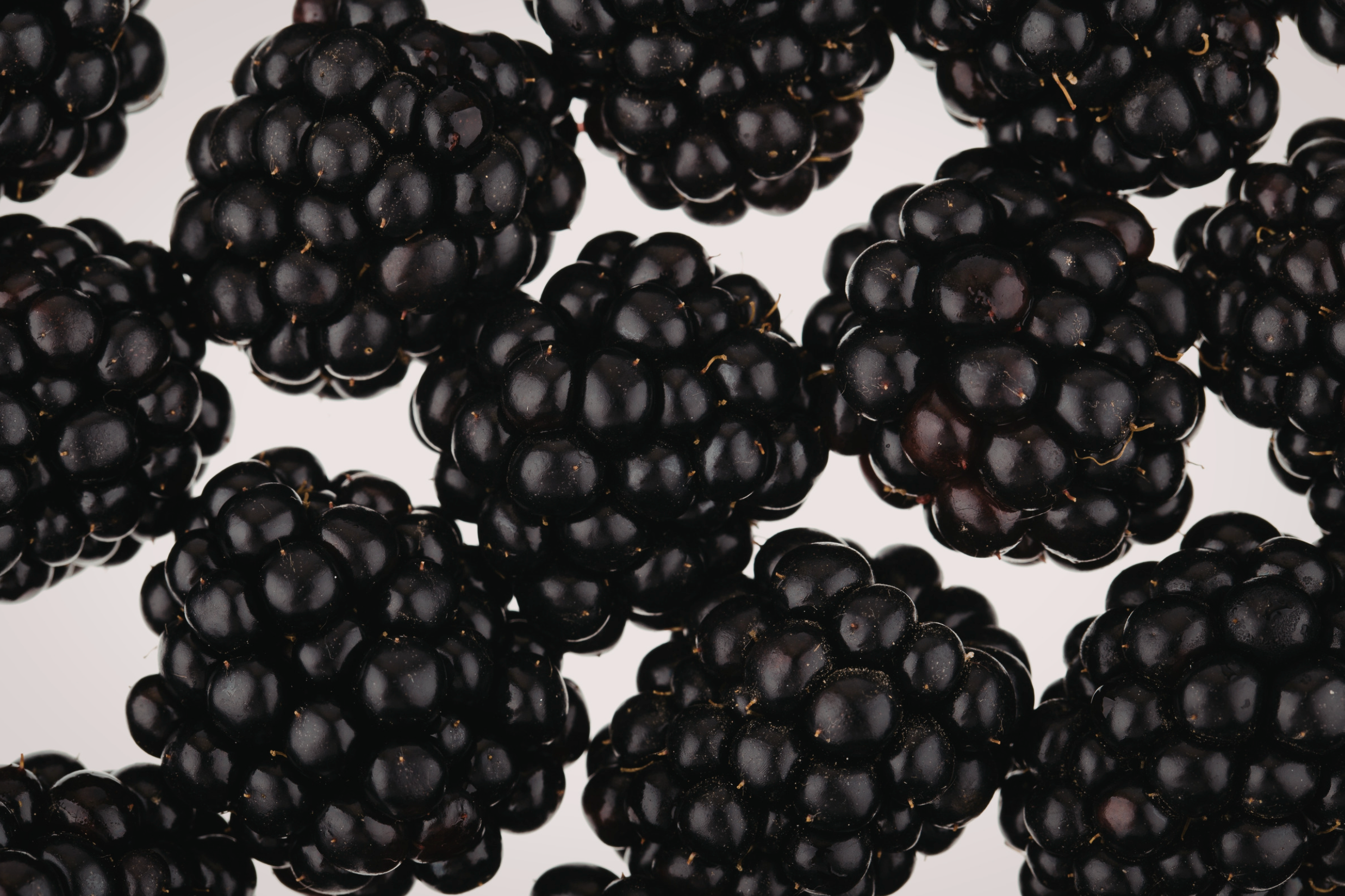 Several blackberries laying on a white surface