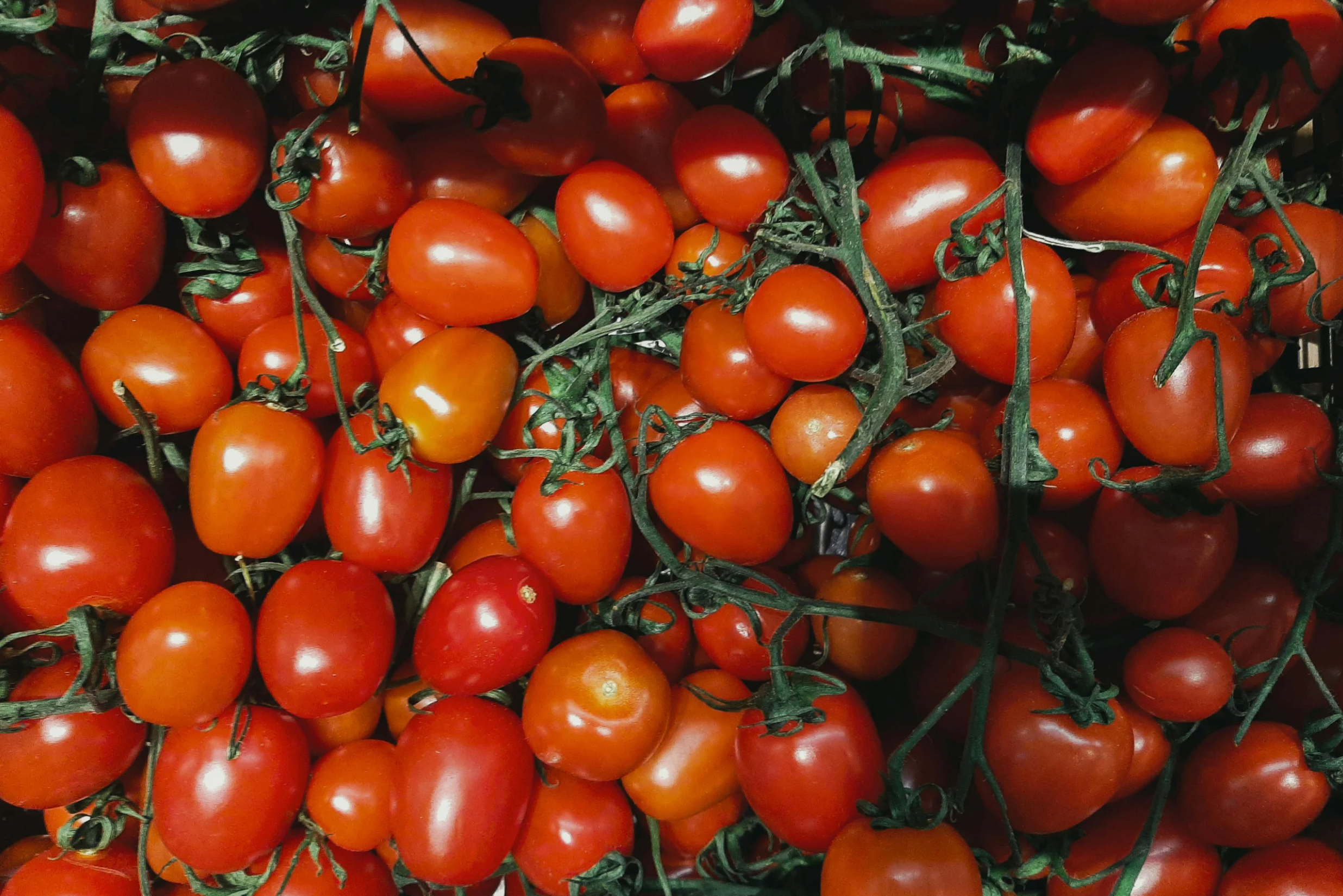 Tomato Products Increase Lycopene Levels in Prostate