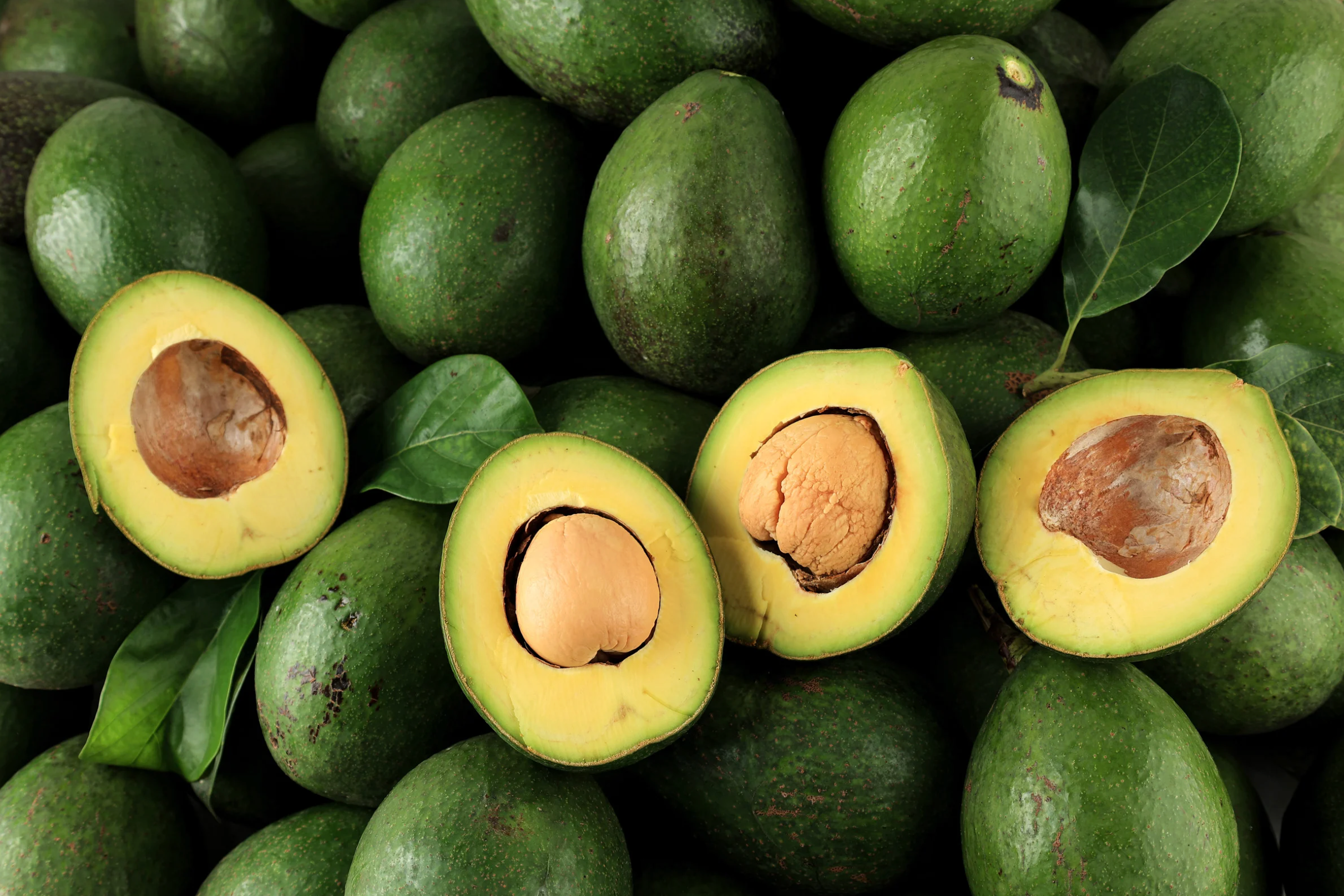 Health Benefits of Avocados To Fight Cancer