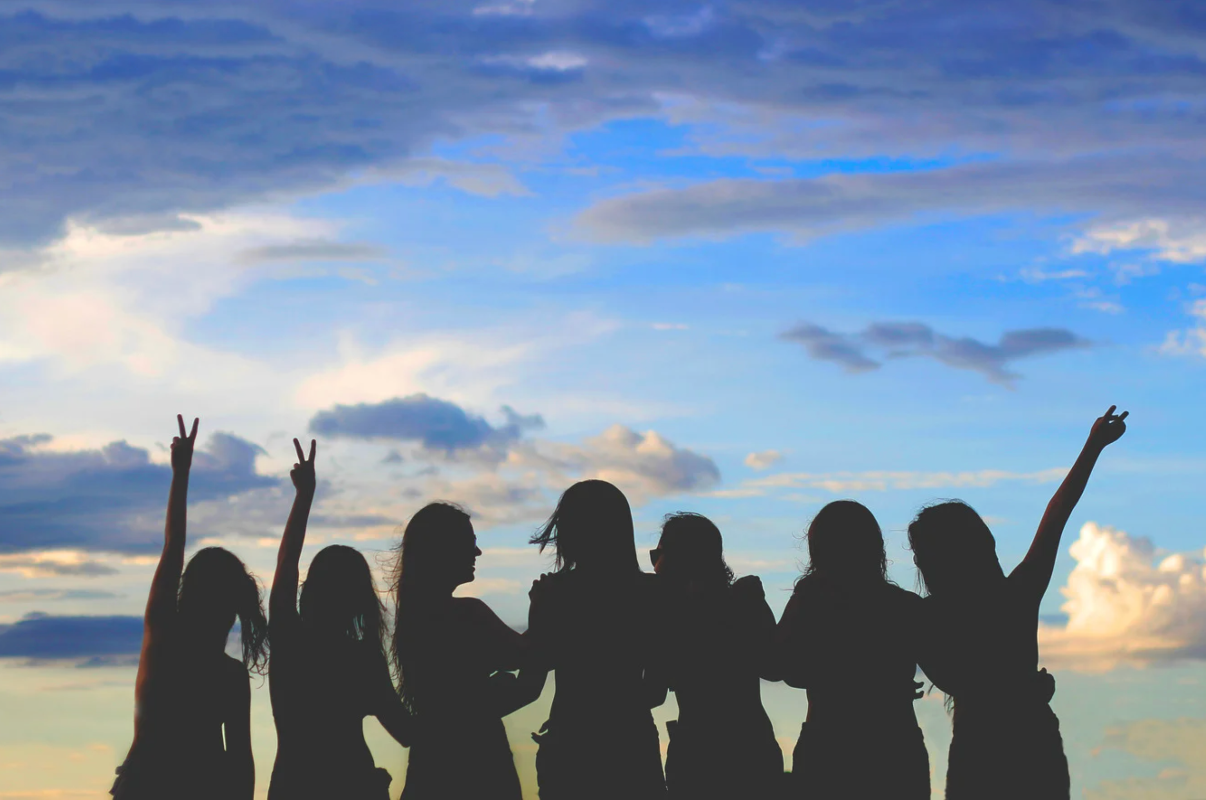 Silhouettes of several people against a dusk sky