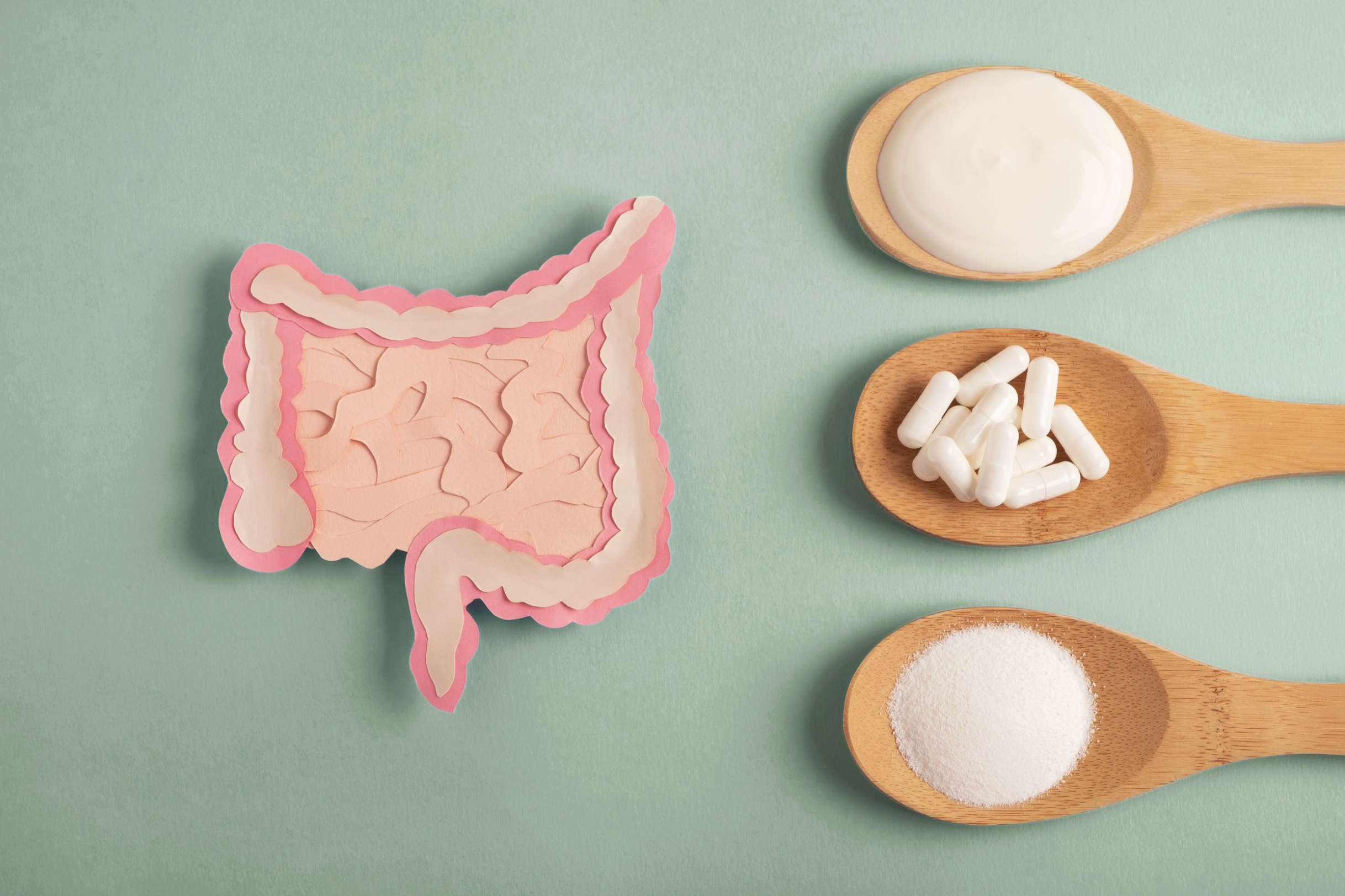 Improving Digestive Health: Probiotics vs. Digestive Enzymes