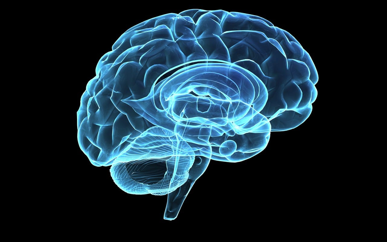 Enhancing Phosphatidylserine’s Brain Health Benefits