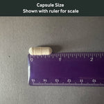 Dr. Murray's D3 K2 capsule size shown with a ruler for scale on a gray background