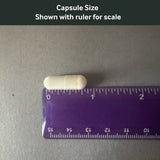 Dr. Murray's N-Acetylcysteine capsule size shown with a ruler for scale on a gray background