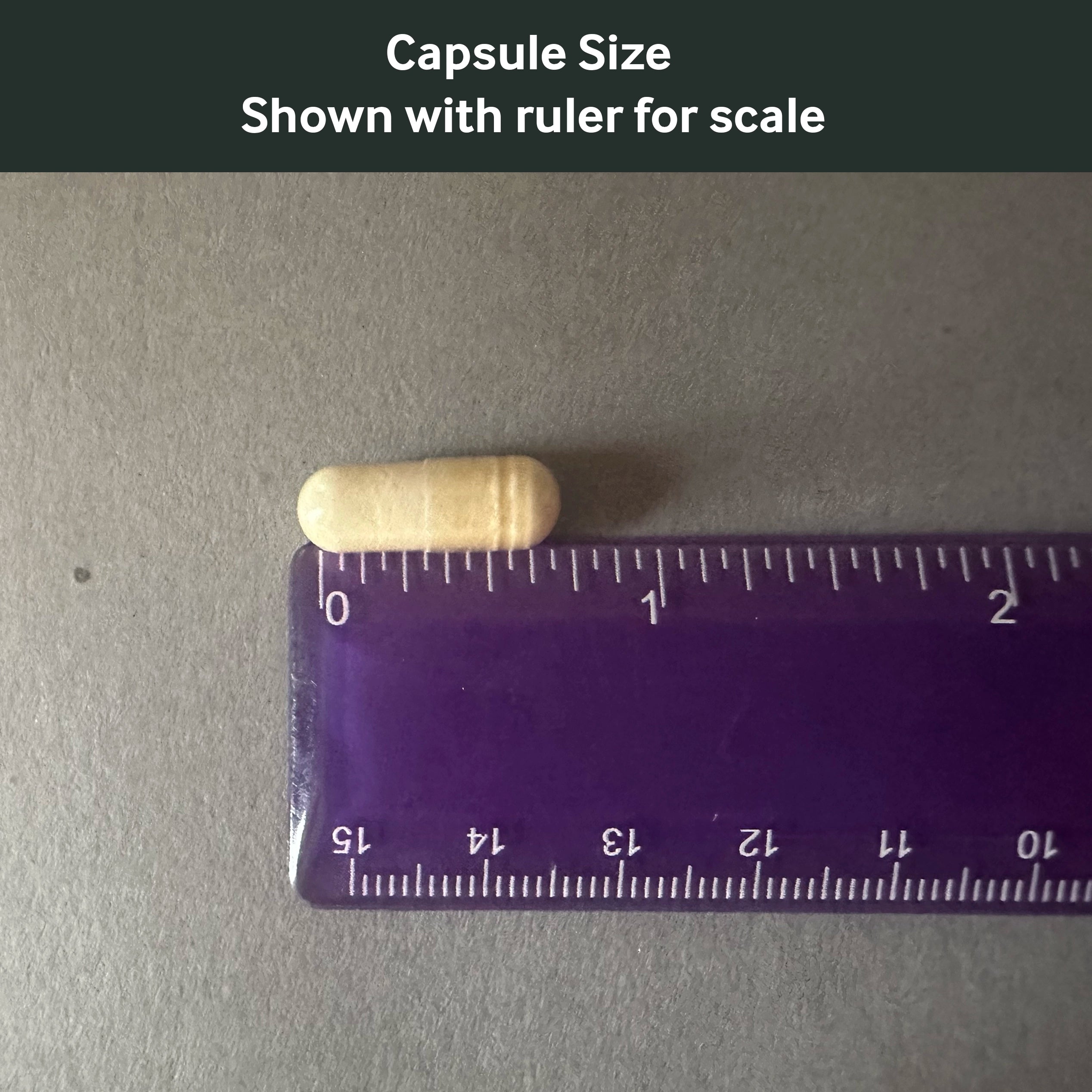 Dr. Murray's Nattokinase capsule size shown with a ruler for scale on a gray background