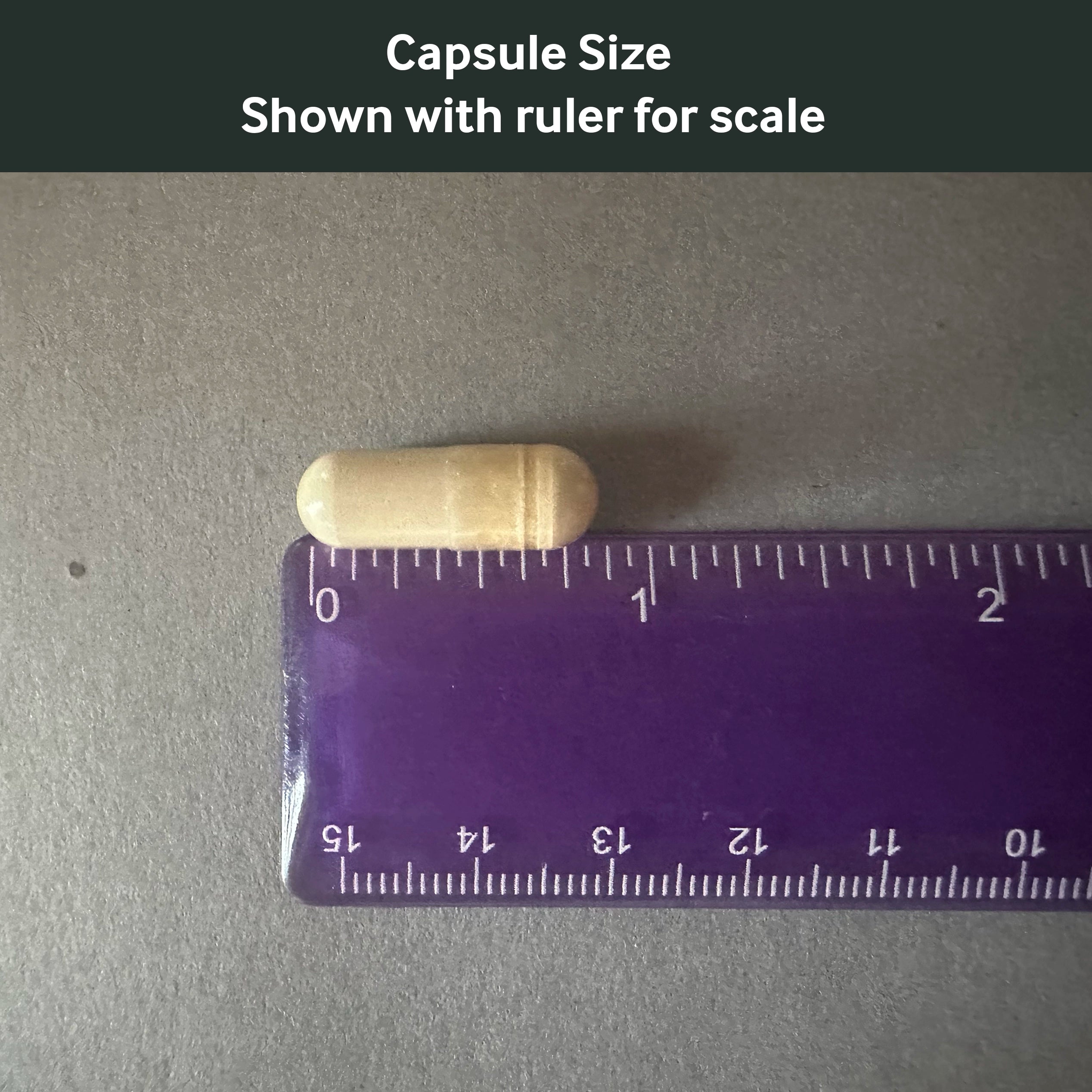 Dr. Murray's Ultra Clean Serrapeptase Clinical Strength capsule size shown with a ruler for scale on a gray background