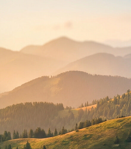 Hazy mountain landscape with greenery and a warm color palette