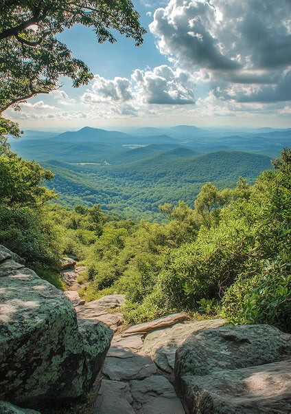 Scenic view from a high vantage point with trees, rocks, and a vast landscape.