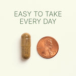 Dr. Murray Ultimate Metabolic Health herbal capsule is shown next to a U.S. penny for size comparison