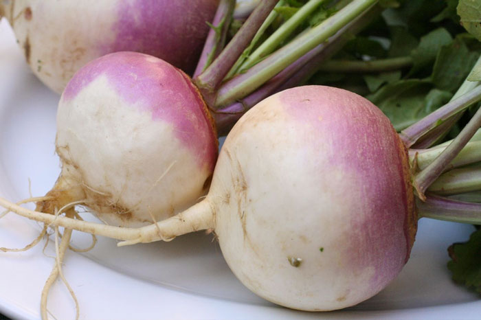 Turnip Nutrition Facts & Health Benefits - Natural Cancer Prevention