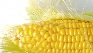 Healing Facts - Corn