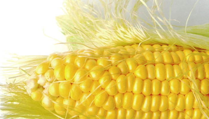 Corn