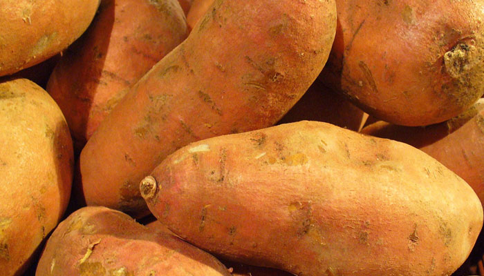 Sweet Potato