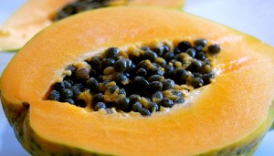 papaya