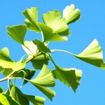 Permalink to: Radical Health