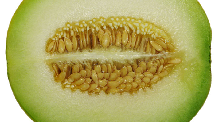honeydew-melon