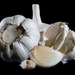 Permalink to: Garlic