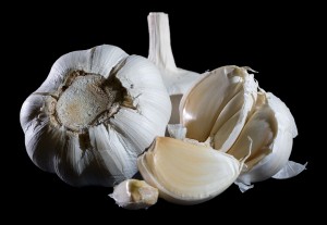 Garlic_Bulbs_2