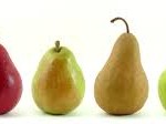 Permalink to: The Radiation-Proof Diet & Supplement Plan