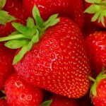 Permalink to: Strawberry Intake Produces New Mechanisms for Reducing the Risk of Heart Disease
