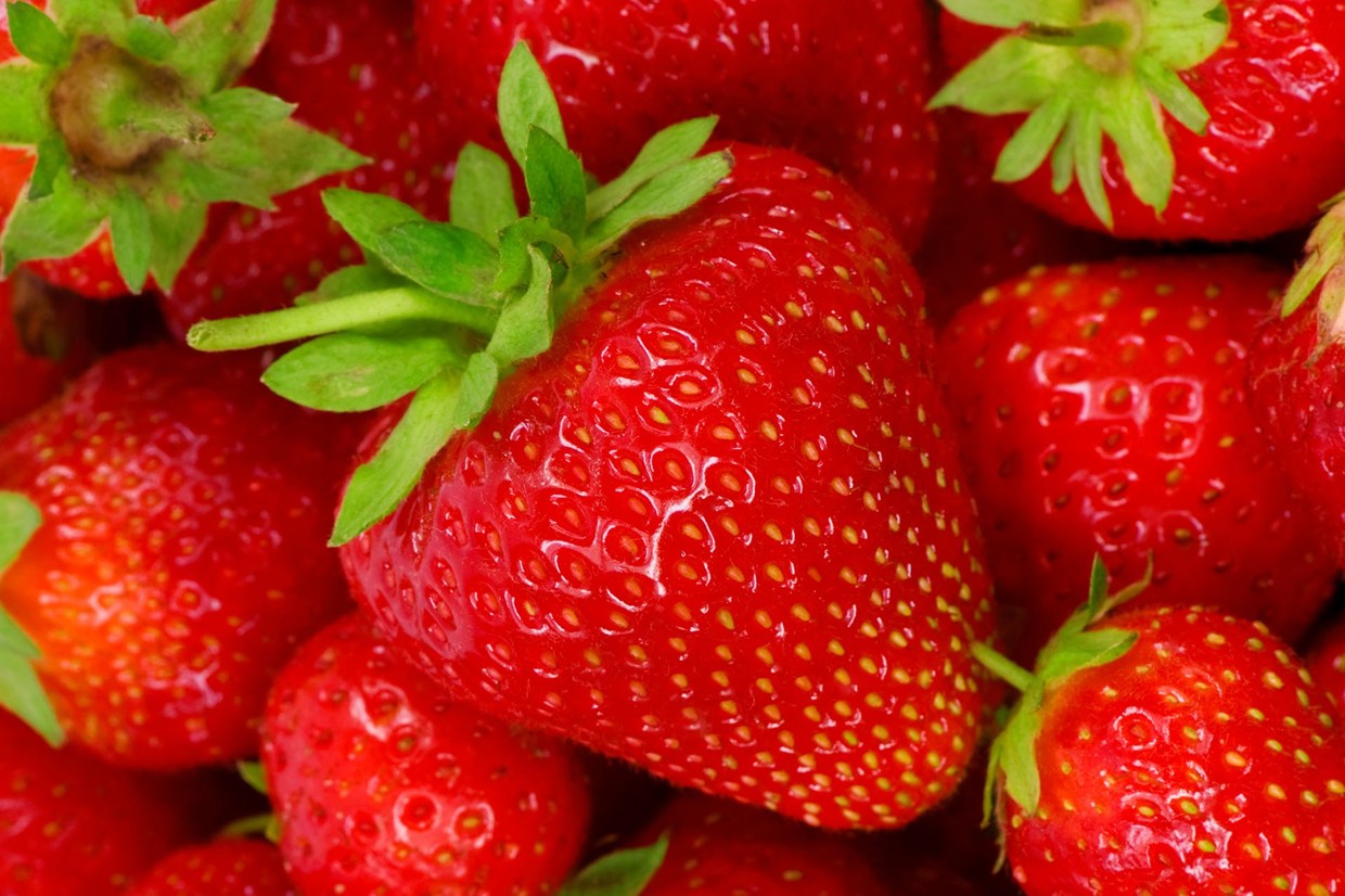 Strawberry Intake Produces New Mechanisms for Reducing the Risk of Heart Disease
