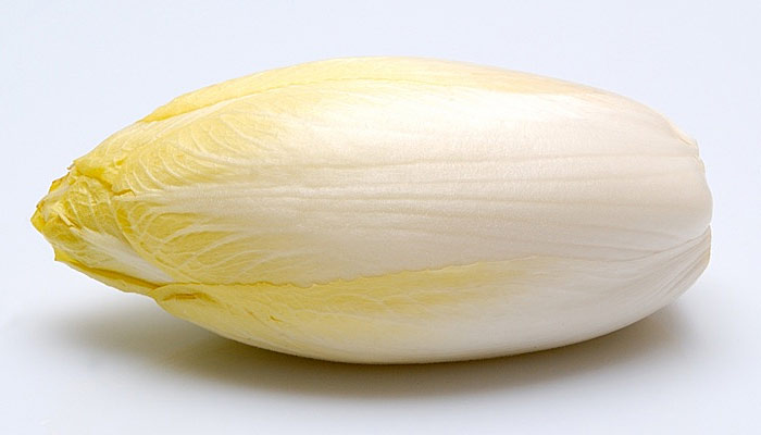 Endive – Healing Food Facts