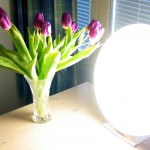 Permalink to: Light Therapy is More Effective than Prozac in Major Depression