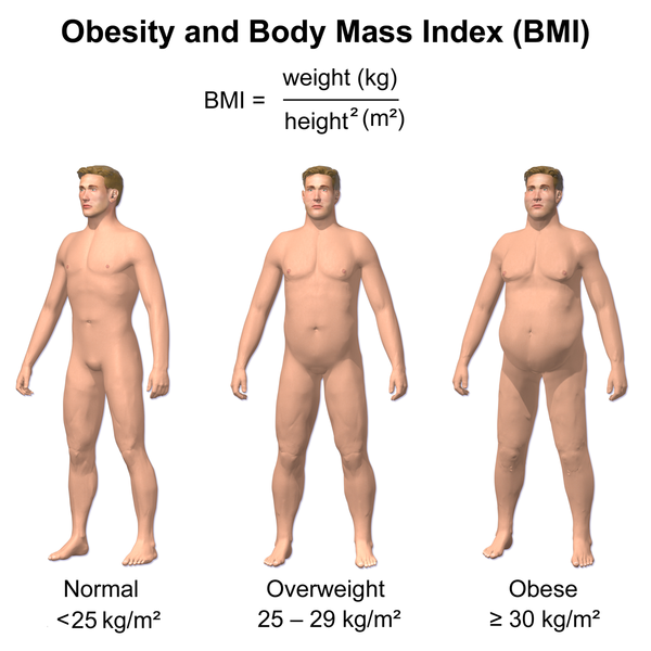 Unraveling Obesity? All Roads Lead to the Brain!