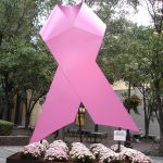 Permalink to: Promoting Breast Health