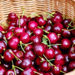 Permalink to: The Rising Epidemic of Gout