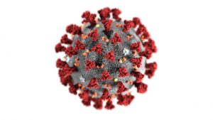 corona virus image 