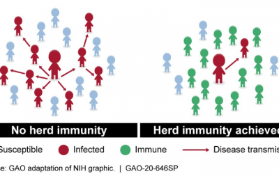 Herd Immunity to Covid-19 May Be Closer than Expected Based on New Discoveries