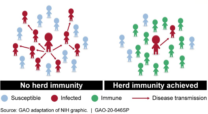 Herd Immunity to Covid-19 May Be Closer than Expected Based on New Discoveries
