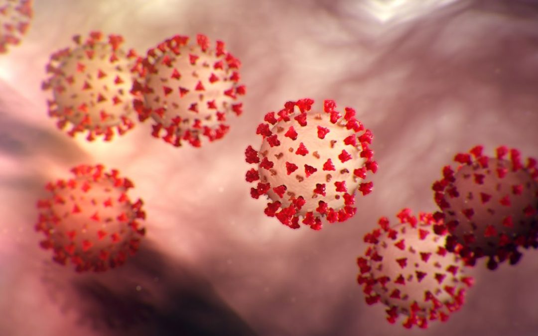 How 90% of COVID Deaths Could Have Been Prevented